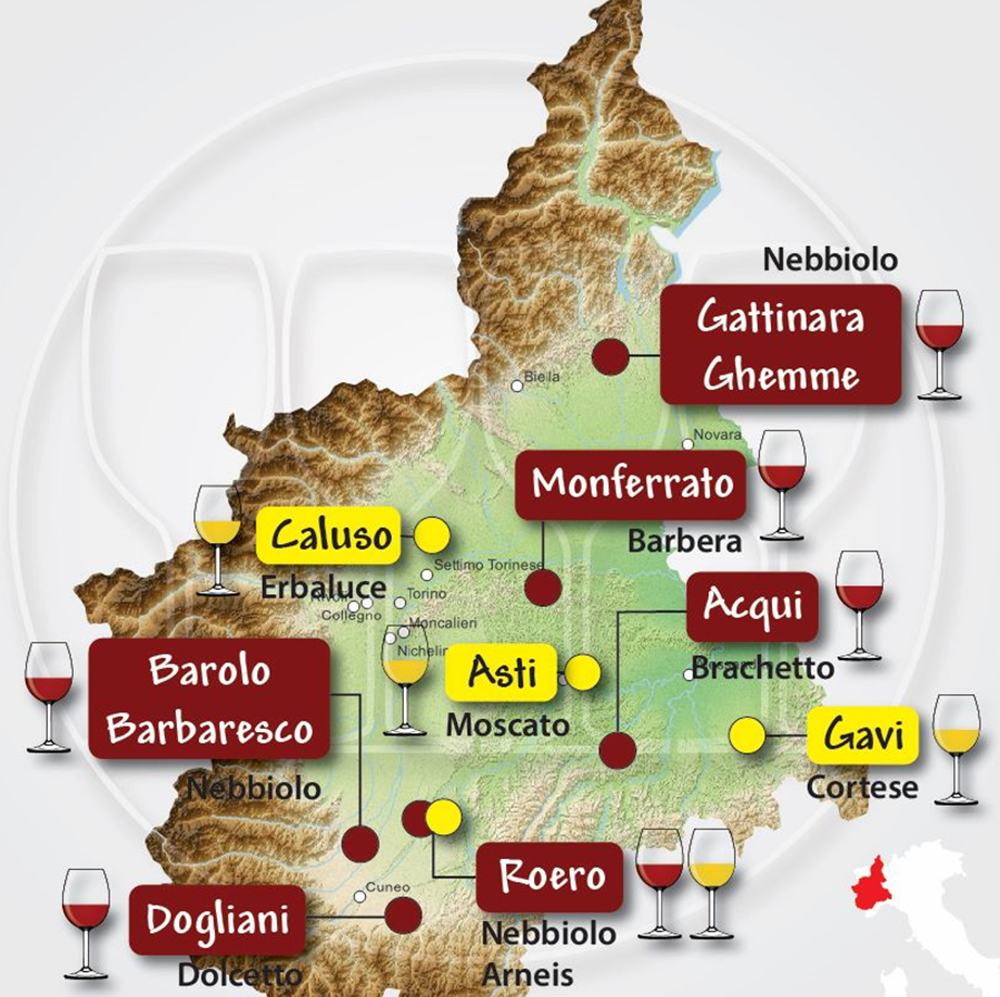 20303238-4090-401e-9da5-74782a8dd9d5