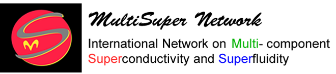 logo_multisupernetwor_homek.fw_1 logo_multisupernetwor_homek.fw_1