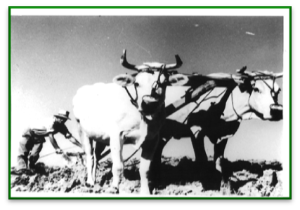 ec5ccb5d-06c2-4b92-93bb-e43fa2fe74b1