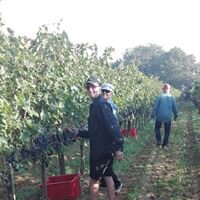 d6687394-d805-40f4-b393-b8851422e45f