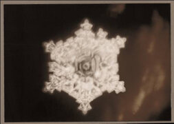 pastoralebeethoven_2