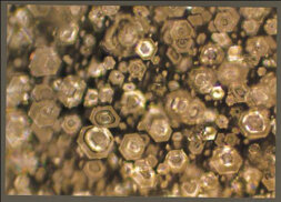 farewellsongchopin_3