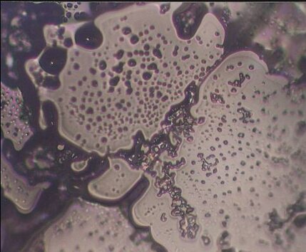 beforeprayerceremonyatlakebiwain1999