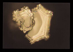 heartbreakhotelelvispresley_3