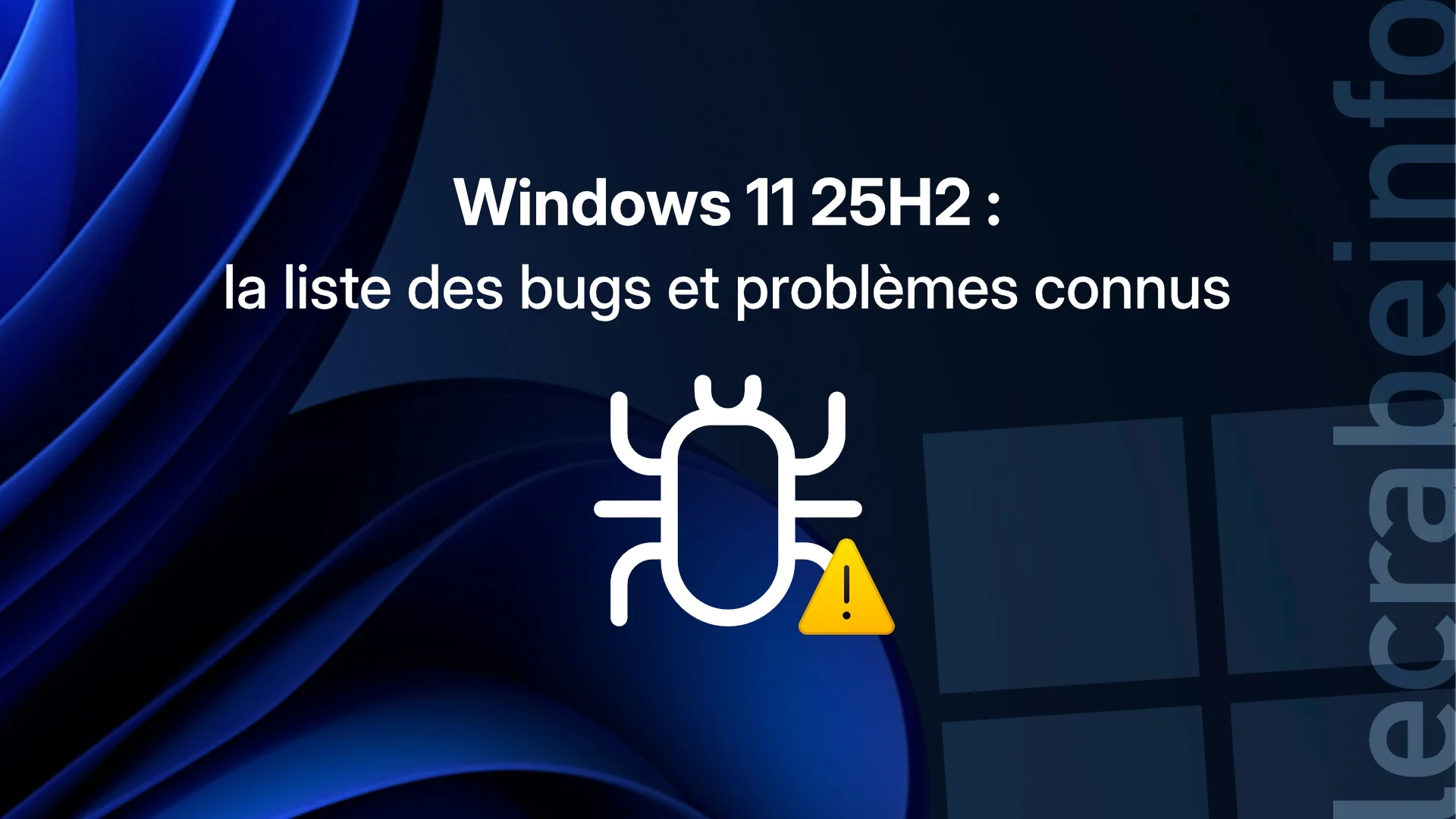 bug-windows.webp