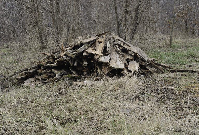 f4b9562a-6d90-4701-9f86-3a7509018ee2