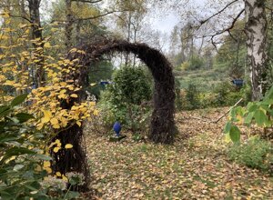 netro%205.jpeg netro%205.jpeg