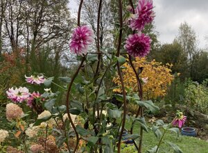 netro%202%20mattia.jpeg netro%202%20mattia.jpeg