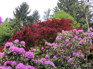 83fb81dd-bbf9-421f-8ac2-ecd2998ee526.jpeg 83fb81dd-bbf9-421f-8ac2-ecd2998ee526.jpeg