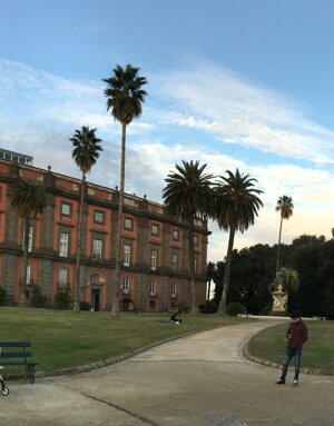 Gruppo Museo Nazionale Capodimonte