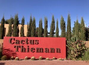 anima%20garden%202.jpeg anima%20garden%202.jpeg