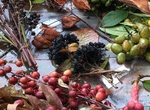 netro%203.jpeg netro%203.jpeg