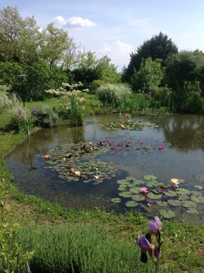 a24ee18d-bac0-45f3-b3ff-e95dc22e6cce a24ee18d-bac0-45f3-b3ff-e95dc22e6cce