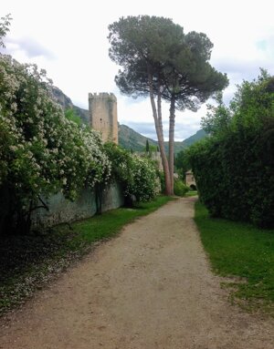 OASI DI NINFA