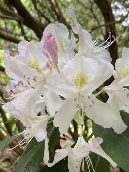 3420f7d9-d767-4c9b-9892-e9d3045bb1d7.jpeg 3420f7d9-d767-4c9b-9892-e9d3045bb1d7.jpeg