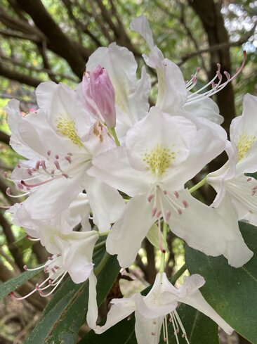 3420f7d9-d767-4c9b-9892-e9d3045bb1d7.jpeg 3420f7d9-d767-4c9b-9892-e9d3045bb1d7.jpeg