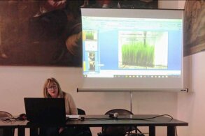 dab043a9-9648-4d0a-874c-12d6822ede29