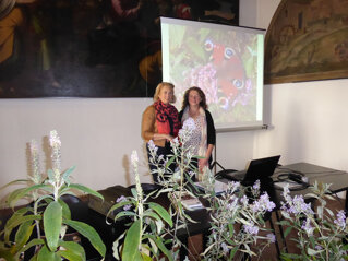 fa3bccc3-c2b9-4f0e-9488-f229a7f7487a