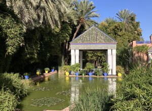 majorelle%201.jpeg majorelle%201.jpeg