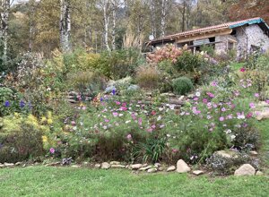 netro%204.jpeg netro%204.jpeg