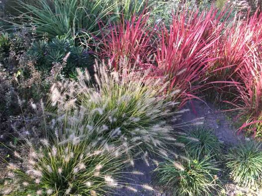 1755b892-0be4-4393-9099-b67c6d27e822 1755b892-0be4-4393-9099-b67c6d27e822