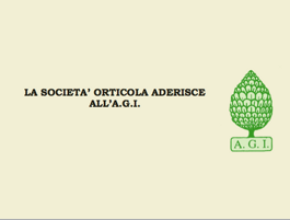 orticolaaderiscea.g.i.