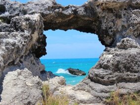 bermuda.jpeg