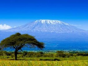 tanzania.jpeg