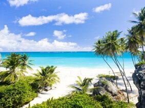 barbados.jpeg barbados.jpeg