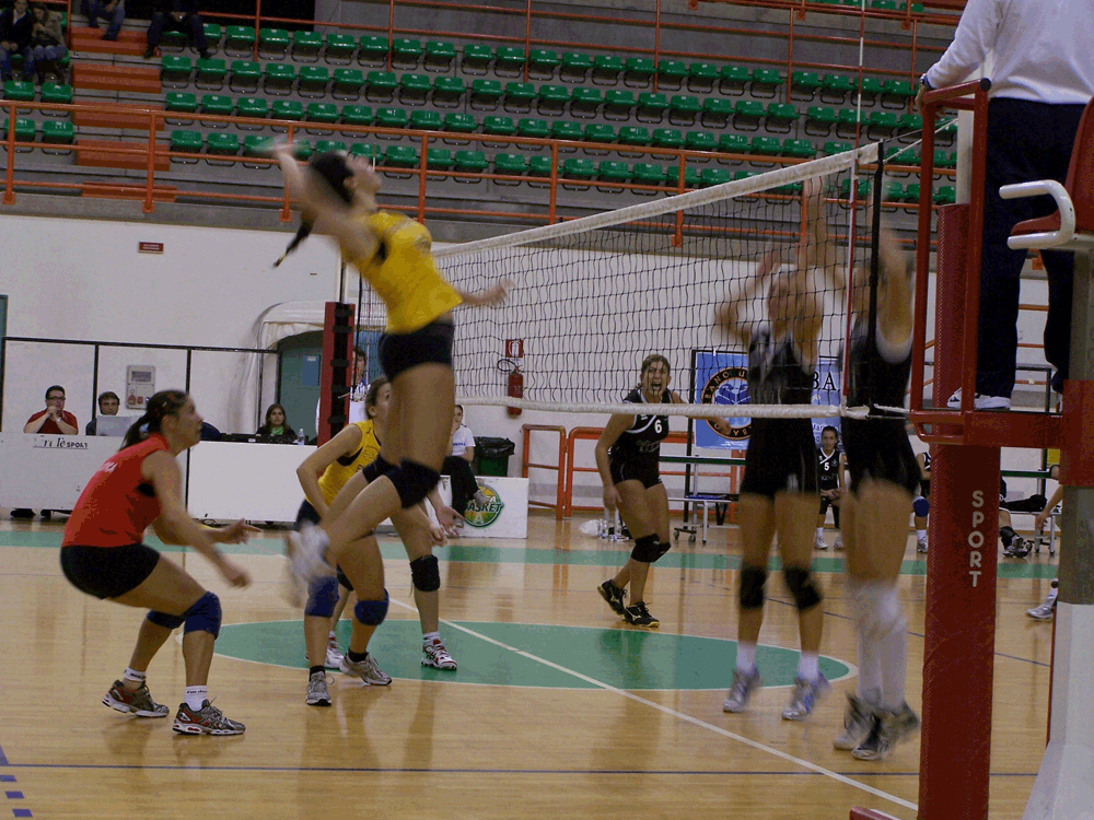 d07f840a-836f-48b7-9a5d-c88aa4f4d7fb