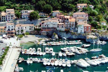 e36e251a-4ee0-4b55-9c77-9e2331f63671