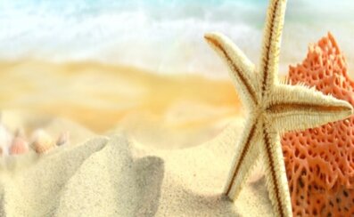 catalogo-aps-650x400 catalogo-aps-650x400