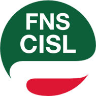fns_cisl250