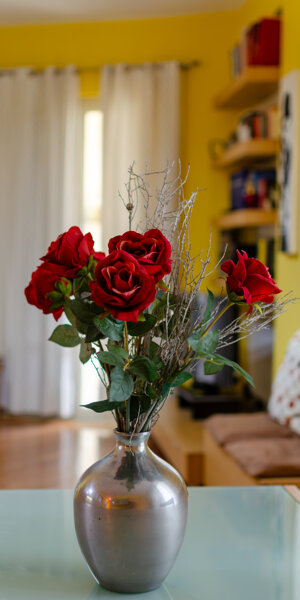 _dsc2578-hdr.jpeg _dsc2578-hdr.jpeg