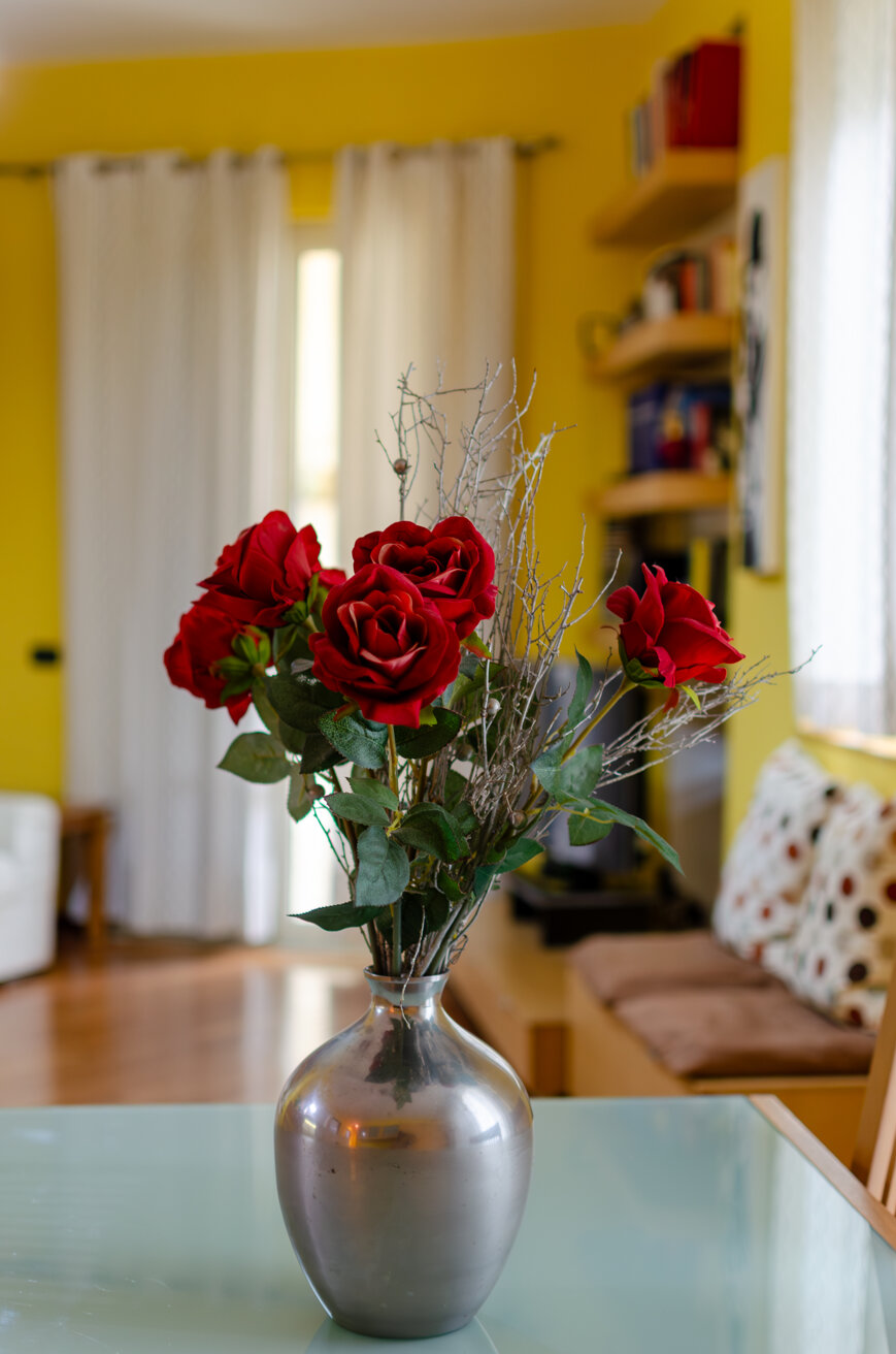 _dsc2667.jpeg _dsc2667.jpeg