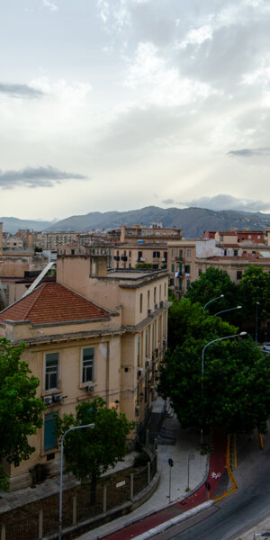 _dsc2660.jpeg _dsc2660.jpeg