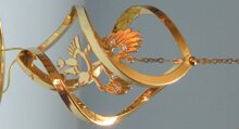 aquila