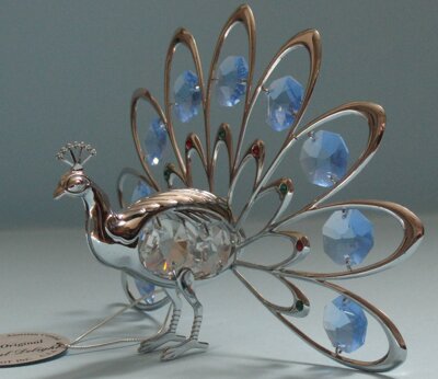 pavonesilver2