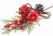 immagine 2026-03-12 175715.jpeg