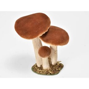 b0456bc6-56c3-4c9e-a4be-c9192ba99279