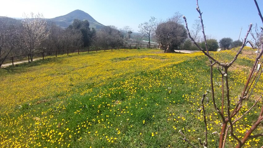 90386a03-7512-4043-8b99-40ab5ac85f7a 90386a03-7512-4043-8b99-40ab5ac85f7a