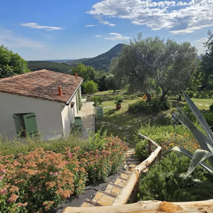 pasted-image-fri-aug-14-2026-15-19-04-gmt-0200-ora-legale-dell-europa-centrale-high