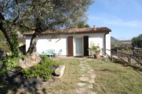 pazientina bnb