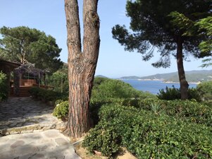 img_0067