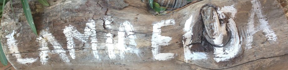 bannerhome