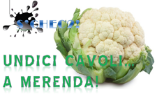 7b2e385a-fcba-458f-86f3-ff3cd0f7f067