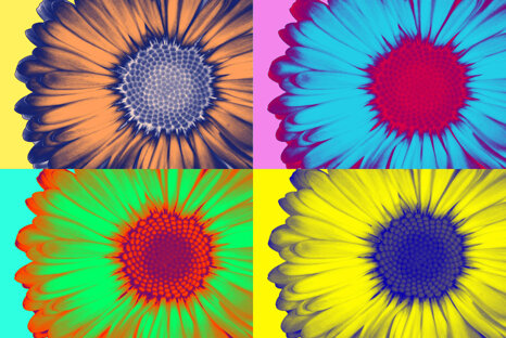 a57f6c34-a309-445a-9239-332aa5a15a29
