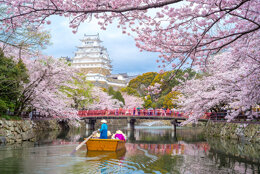 4259946c-96d8-4aea-b619-be993e86651f