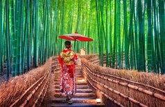 8608e79f-8379-46c2-bfc5-2ee0ea119d08