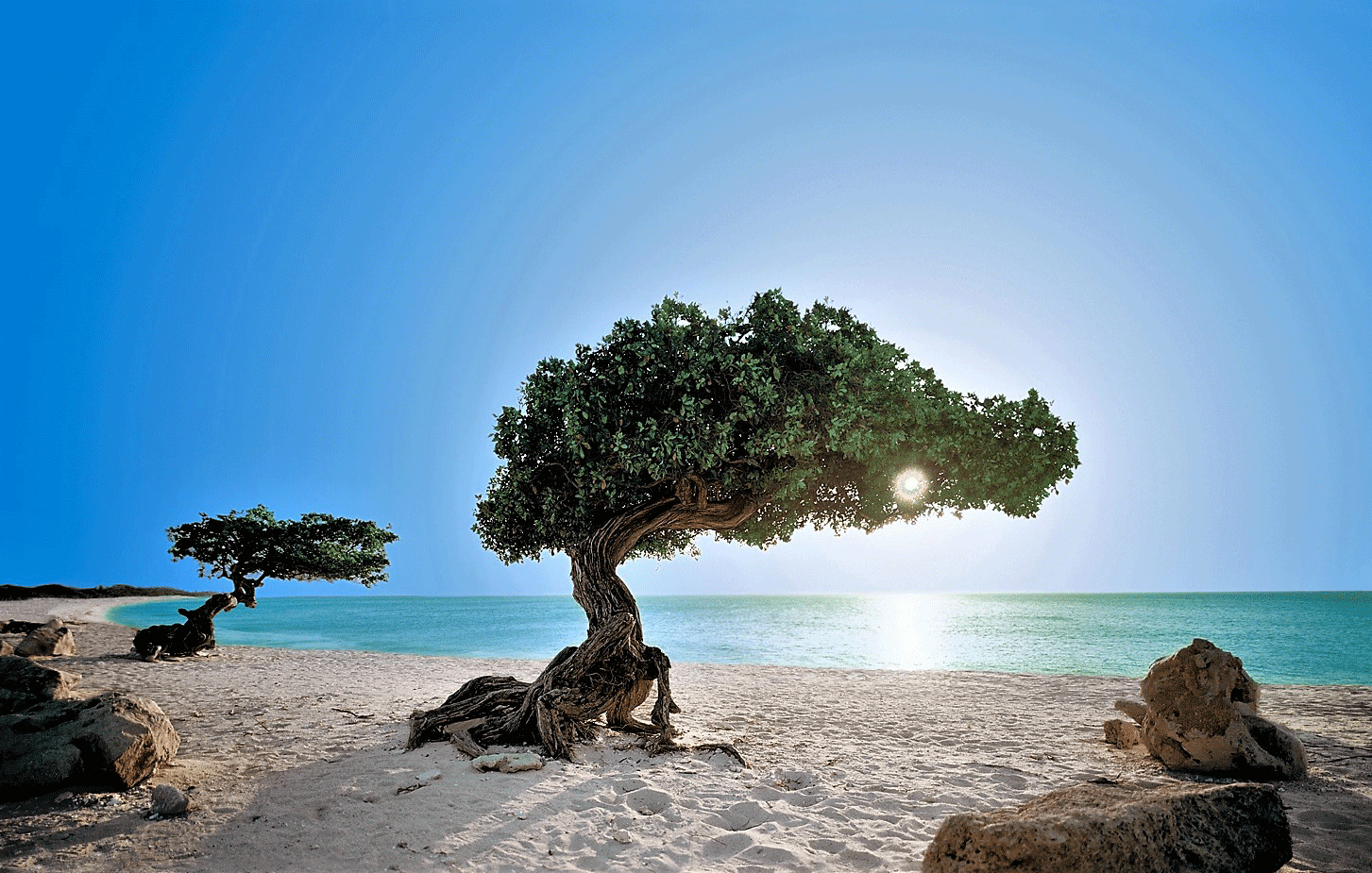 7f32fb64-b575-4dac-ac2c-bece5341e6ef